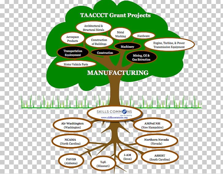 Information Technology Tree Manufacturing PNG, Clipart, Advanced Manufacturing, Area, Diagram, Document, Flyer Free PNG Download