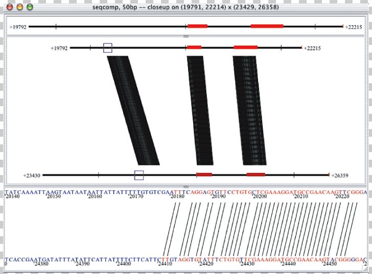 Non-coding DNA Cis-regulatory Element Promoter Conservation Gene PNG, Clipart, Analysis, Angle, Block, Brand, Cisregulatory Element Free PNG Download