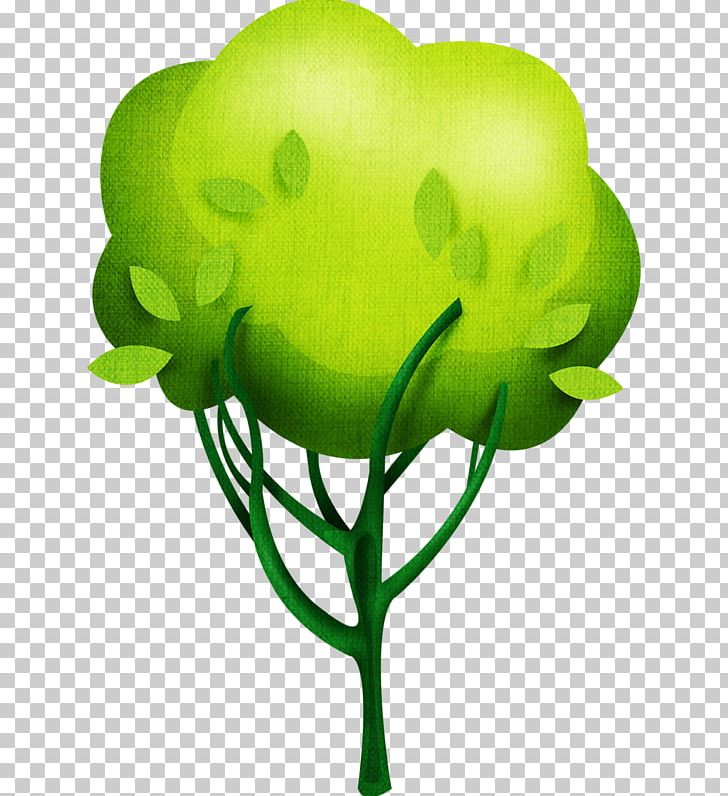 Tree Apple Oak Fruit PNG, Clipart, Apple, Art, Branch, Computer Icons, Flower Free PNG Download