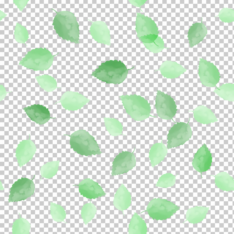 Leaf Green Pattern Line Meter PNG, Clipart, Biology, Green, Leaf, Line, Meter Free PNG Download