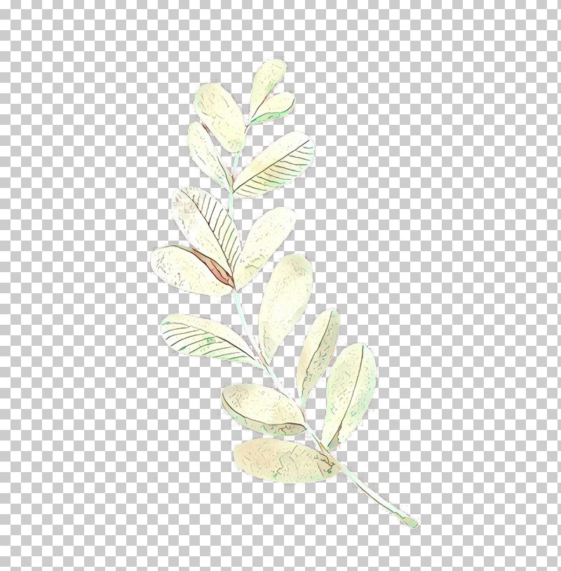 Feather PNG, Clipart, Branch, Feather, Flower, Leaf, Magnolia Free PNG Download
