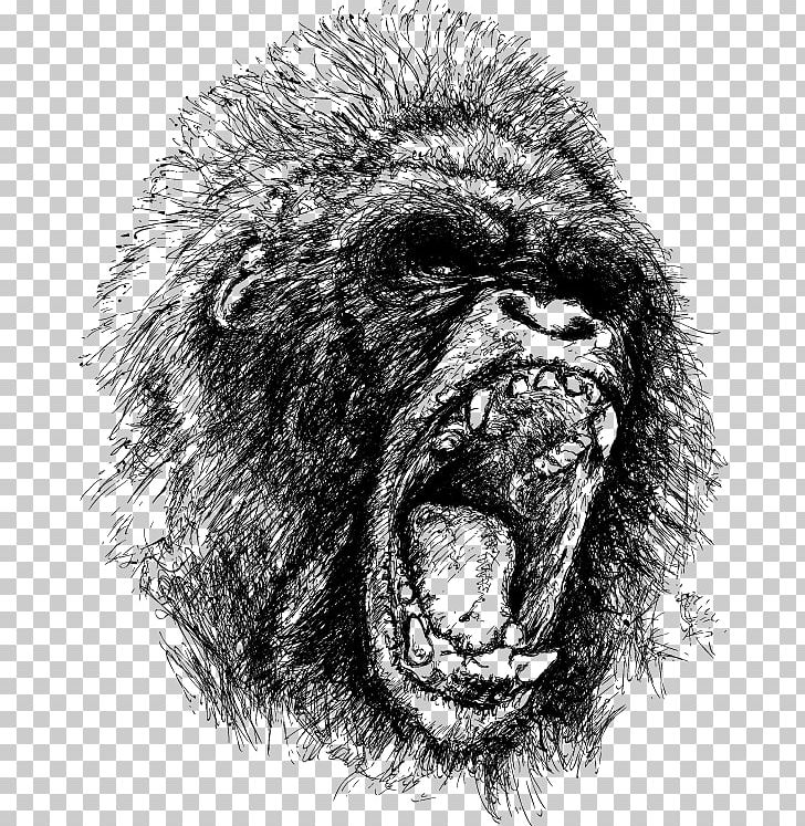 Gorilla Ape King Kong Drawing Anger PNG, Clipart, Angry, Angry Gorilla, Animals, Coffee Sketch, Common Chimpanzee Free PNG Download
