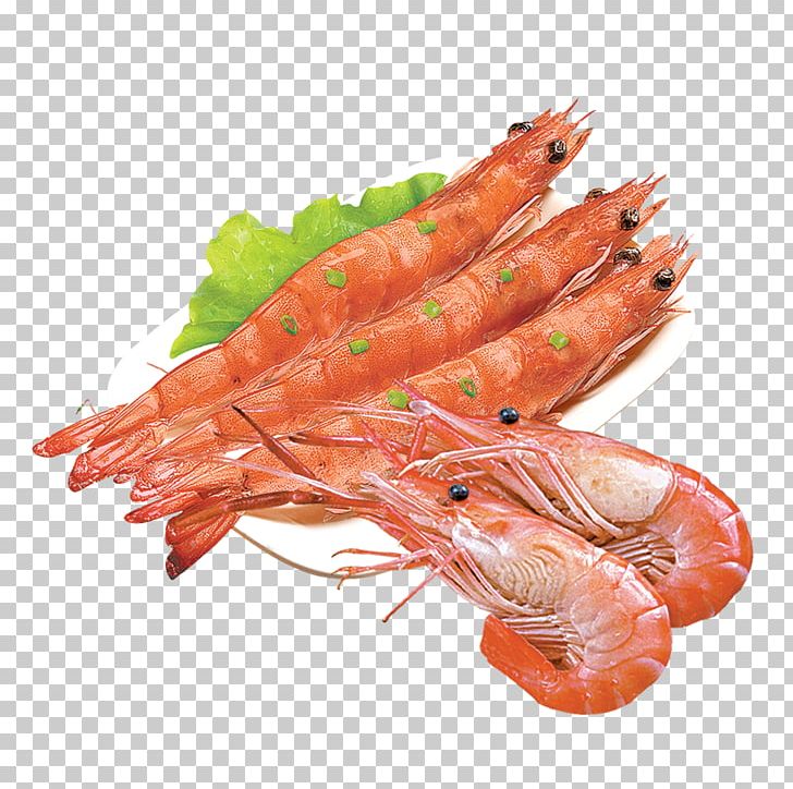 Seafood Caridea Shrimp Prawn PNG, Clipart, Animals, Animal Source Foods, Caridean Shrimp, Cartoon Shrimp, Cdr Free PNG Download