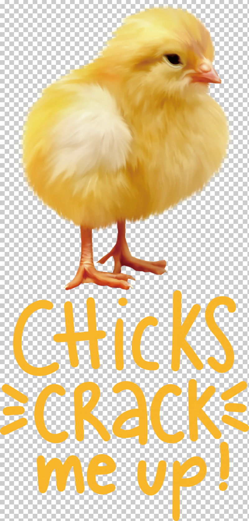 Chicks Crack Me Up Easter Day Happy Easter PNG, Clipart, Beak, Chicken, Easter Day, Happy Easter, Landfowl Free PNG Download