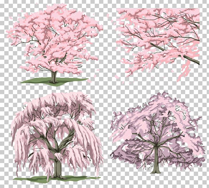 Tree Branch Flower PNG, Clipart, Birch, Branch, Cherry Blossom, Flora, Flower Free PNG Download
