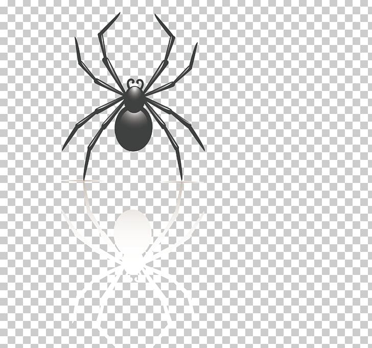 Insect Spider Black And White PNG, Clipart, Animals, Balloon Cartoon, Black, Black And White, Black Background Free PNG Download