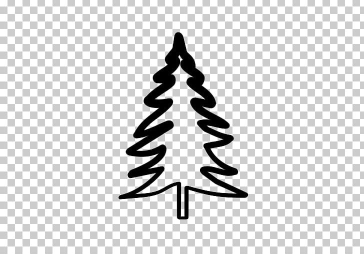 spruce tree drawing