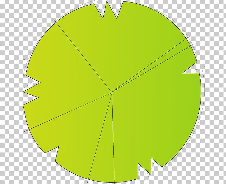 Leaf Green Circle Angle PNG, Clipart, Angle, Circle, Grass, Green, Leaf Free PNG Download