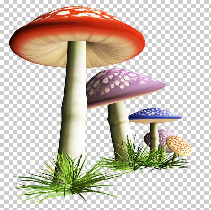 Mushroom Fungus PNG, Clipart, Cartoon Mushroom, Clip Art, Flower, Fungus, Grass Free PNG Download