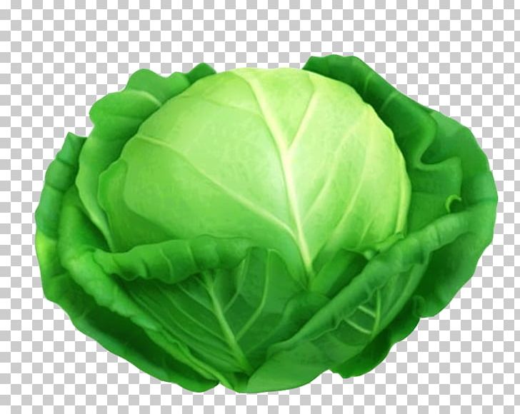 Red Cabbage Savoy Cabbage Leaf Vegetable PNG, Clipart, Brassica Oleracea, Cabbage, Chinese Cabbage, Collard Greens, Down Free PNG Download
