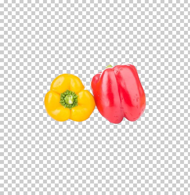 Habanero Bell Pepper Capsicum Frutescens Chili Pepper Vegetable PNG, Clipart, Bell Pepper, Chili Pepper, Color, Color Pencil, Colors Free PNG Download