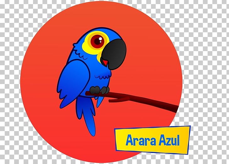 Macaw Cobalt Blue Beak PNG, Clipart, Beak, Bird, Blue, Cobalt, Cobalt Blue Free PNG Download