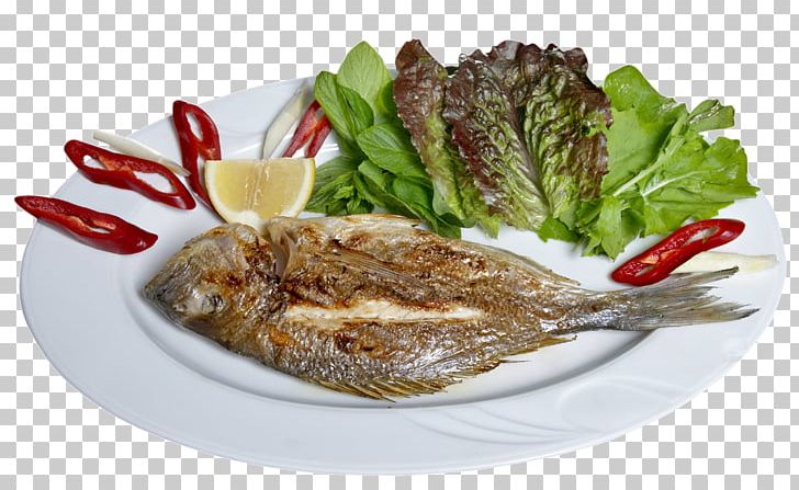 Fried Fish Moqueca Grilling Recipe PNG, Clipart, Animals, Animal Source Foods, Atlantic Cod, Besin, Catering Free PNG Download