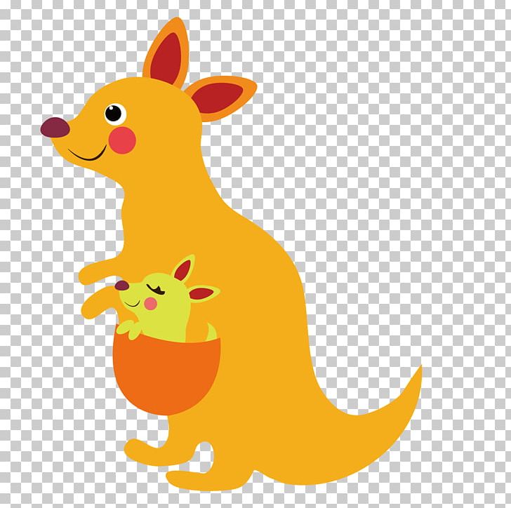 Kangaroo Macropodidae PNG, Clipart, Animal, Animals, Babies, Baby, Baby Animals Free PNG Download