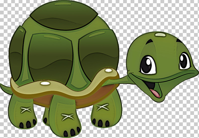 Frogs Tortoise Green Cartoon Science PNG, Clipart, Biology, Cartoon, Frogs, Green, Science Free PNG Download