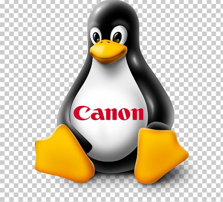 Linux Distribution Unix Tux Linux Kernel PNG, Clipart, Alpine Linux, Beak, Bird, Client, Flightless Bird Free PNG Download