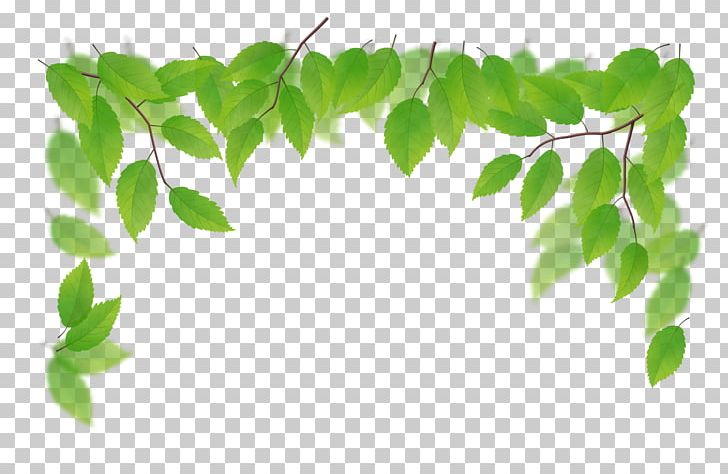 Green Illustration PNG, Clipart, Background Green, Botany, Branch, Decorative, Decorative Pattern Free PNG Download