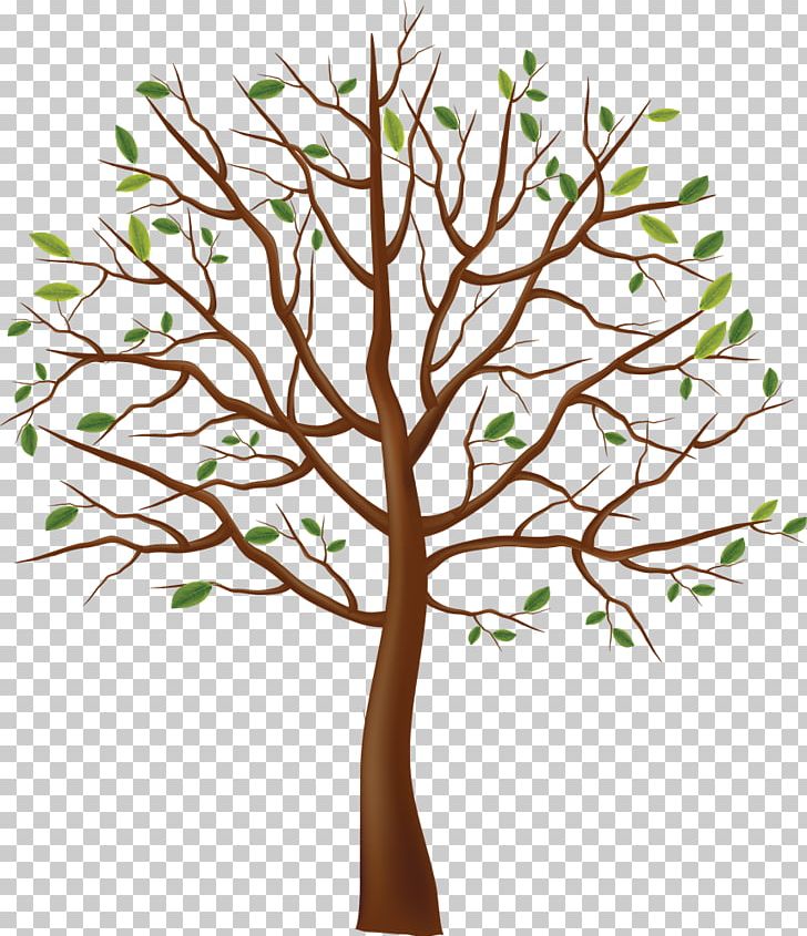 Tree PNG, Clipart, Branch, Flower, Information, Leaf, Nature Free PNG Download
