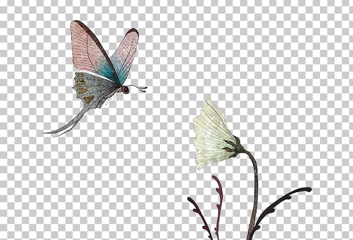 Butterfly Flight Euclidean Computer File PNG, Clipart, Animal, Butterflies, Butterflies And Moths, Butterfly Group, Decorative Free PNG Download