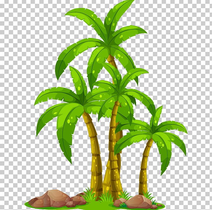 Coconut Arecaceae Tree PNG, Clipart, Animation, Aquarium Decor, Arecales, Balloon Cartoon, Boy Cartoon Free PNG Download