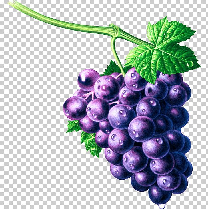 Grape Seed Extract Zante Currant Bilberry Seedless Fruit PNG, Clipart, Berry, Bilberry, Fizzy Drinks, Food, Fruit Free PNG Download