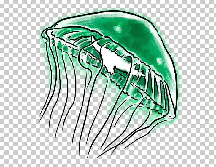 Invertebrate Drawing Jaw PNG, Clipart, Aedes, Art, Drawing, Green, Head Free PNG Download