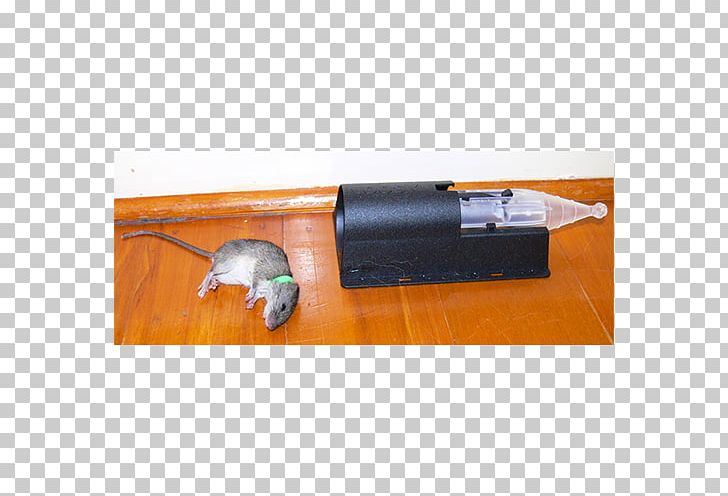 Mousetrap Rat Trap Trapping PNG, Clipart, Angle, Animals, Animal Trap, Bait, Bucket Free PNG Download