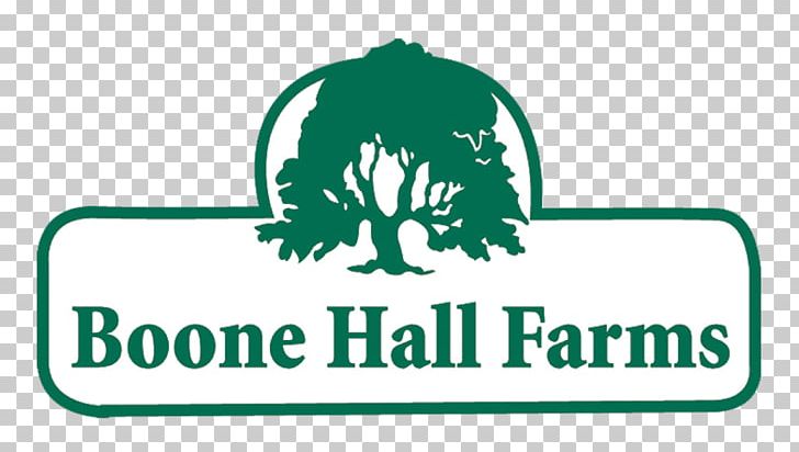 Boone Hall Farms Market Logo Charleston PNG, Clipart, Agribusiness, Area, Aura Studio, Boone Hall, Brand Free PNG Download