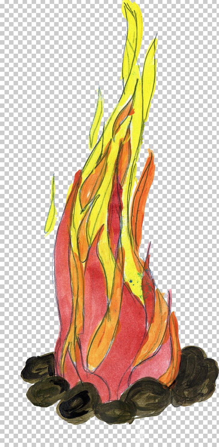 Drawing Flame Fire PNG, Clipart, Art, Candle, Cartoon, Combustion, Drawing Free PNG Download