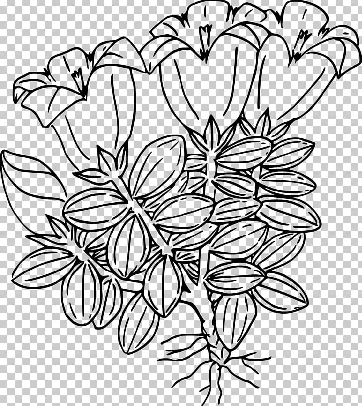 Drawing Flower PNG, Clipart, Black, Black And White, Branch, Cut Flowers, Drawing Free PNG Download