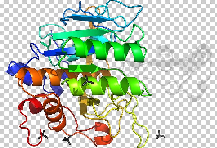 Monoamine Oxidase NNT Enzyme Number Needed To Treat Protein PNG, Clipart, Art, Artwork, Electron Transport Chain, Enzyme, Gene Free PNG Download