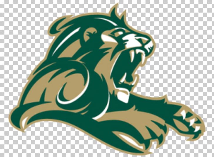 Point Loma Nazarene University Athletics Point Loma Nazarene Sea Lions Pacific West Conference NCAA Division II PNG, Clipart, Big Cats, California, California Sea Lion, Carnivoran, Cat Like Mammal Free PNG Download