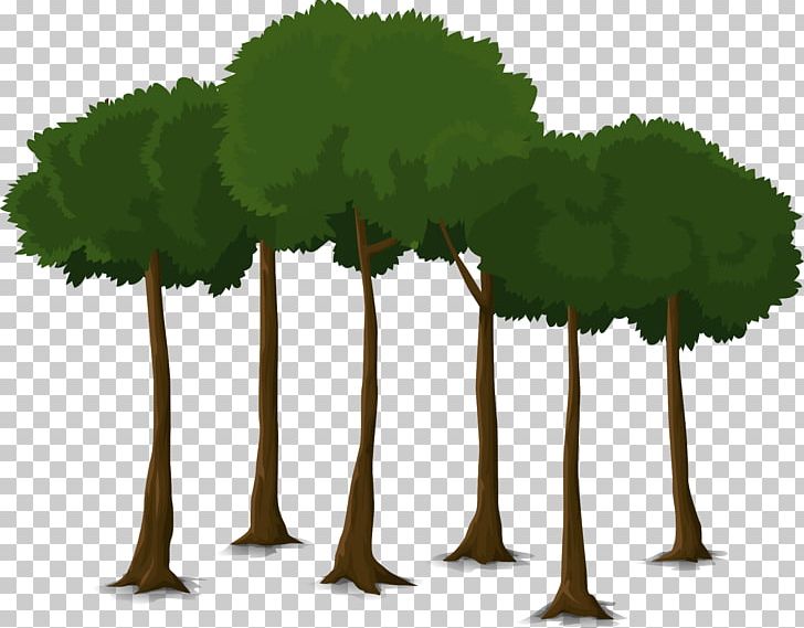 Tree Canopy PNG, Clipart, Canopy, Grass, Leaf, Nature, Plant Free PNG Download