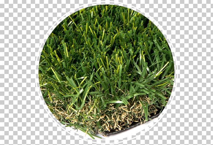 Artificial Turf Lawn Landscape Grasses PNG, Clipart, Artificial Turf, Climate, Economy, Grass, Grasses Free PNG Download