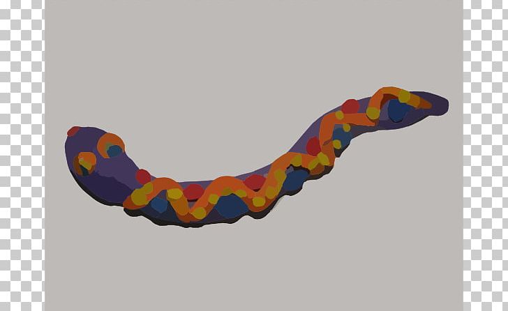 Coral Snake Play-Doh Copperhead PNG, Clipart, Black Rat Snake, Copperhead, Coral Snake, Dough, Free Content Free PNG Download