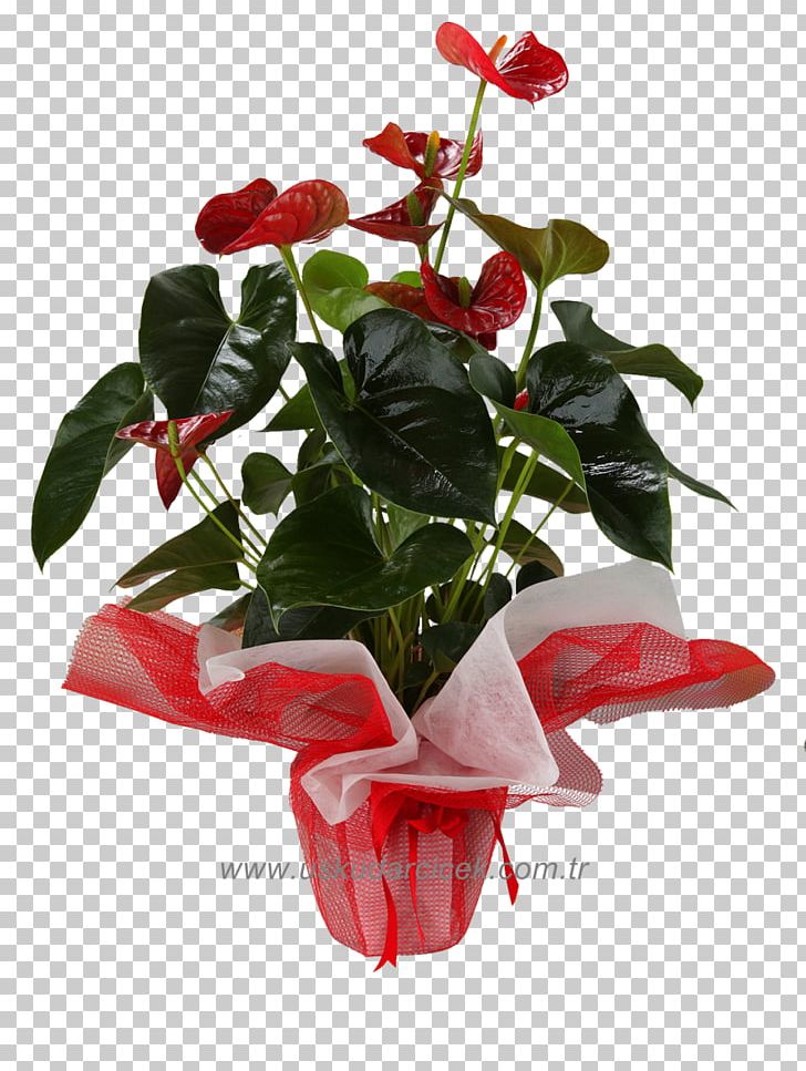 Garden Roses Flowerpot Red Floristry PNG, Clipart, Artificial Flower, Arumlily, Blue, Cut Flowers, Flamingo Flower Free PNG Download