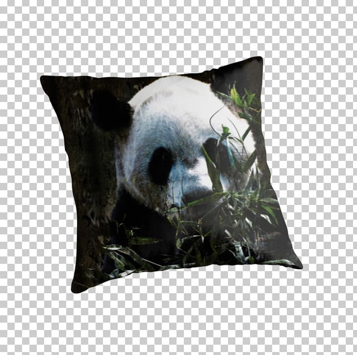 Giant Panda Bear Throw Pillows IPod Touch Cushion PNG, Clipart, Animals, Bear, Canvas, Canvas Print, Cushion Free PNG Download
