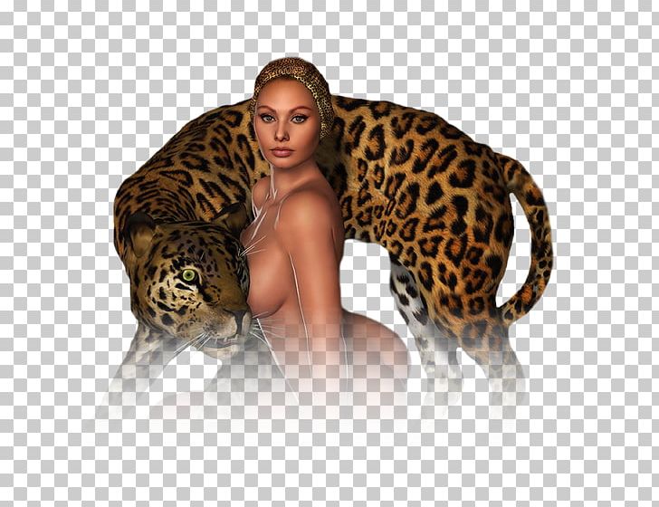 Jaguar Leopard Ocelot Cheetah Tiger PNG, Clipart, Animal, Animals, Big Cats, Carnivoran, Cat Like Mammal Free PNG Download