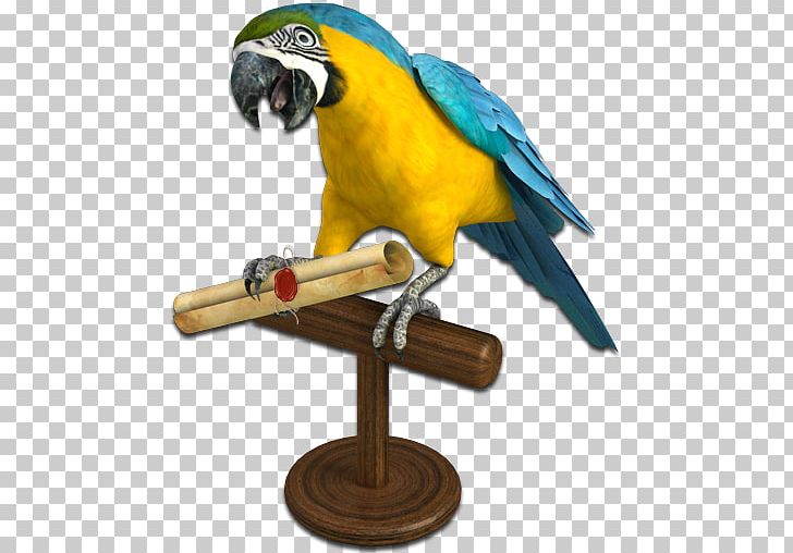 Parrot Computer Icons Piracy PNG, Clipart, Animals, Beak, Bird, Bird Supply, Buried Treasure Free PNG Download
