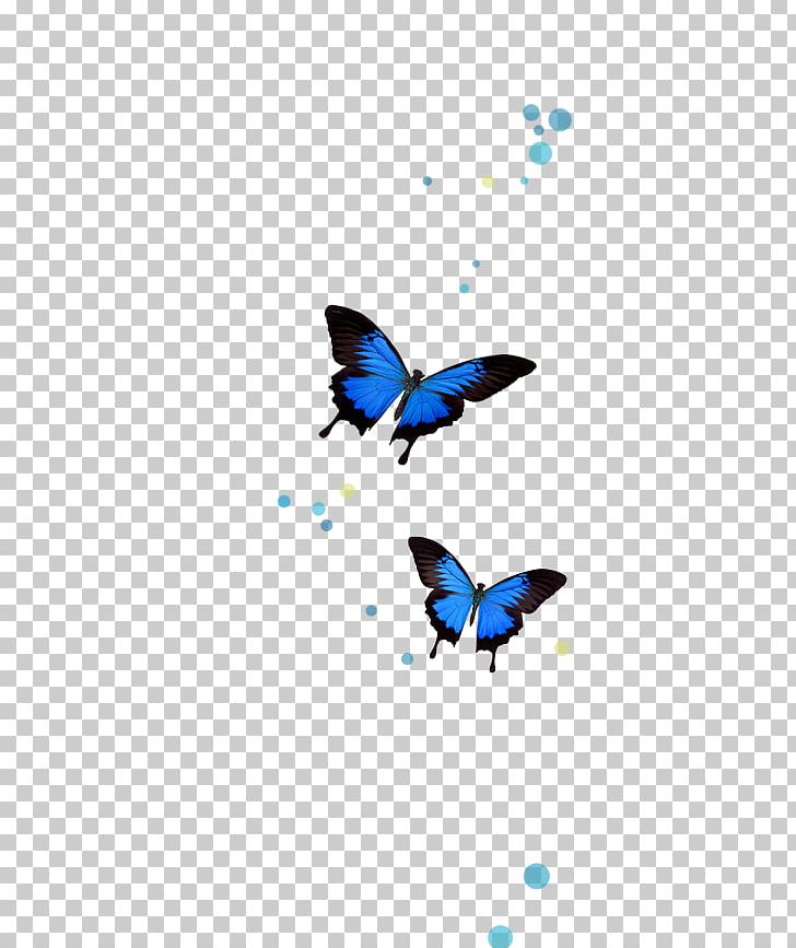 Brush-footed Butterflies The Complete Dream Book: Discover What Your Dreams Reveal About You And Your Life Butterfly PNG, Clipart, 5th, About You, Book, Brush Footed Butterflies, Brush Footed Butterfly Free PNG Download