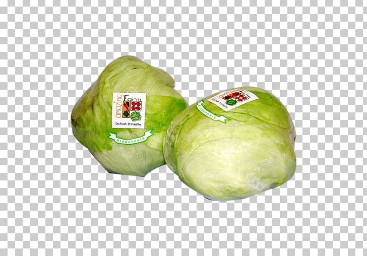 Cruciferous Vegetables Leaf Vegetable Lettuce Oak PNG, Clipart, Agriculture, Cabbage, Capitata Group, Cruciferous Vegetables, Endive Free PNG Download
