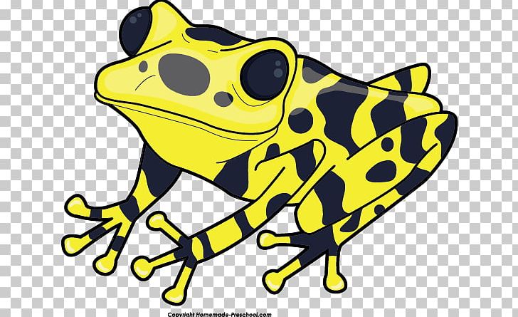 Yellow-banded Poison Dart Frog Green And Black Poison Dart Frog PNG, Clipart, Amphibian, Animal, Arrow Poison, Artwork, Black And White Free PNG Download