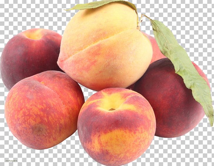 Nectarine Apricot Food Peach PNG, Clipart, Apple, Apricot, Food, Fruit, Fruit Nut Free PNG Download
