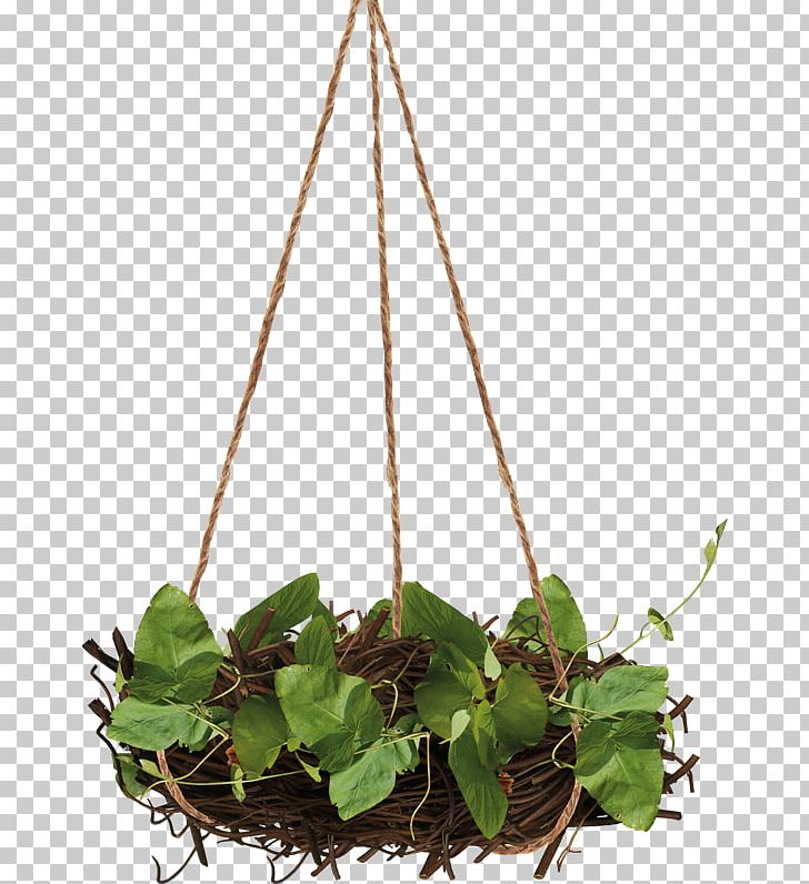 Animals Leaf Encapsulated Postscript PNG, Clipart, Adobe Illustrator, Animals, Ant Nest, Baskets, Bird Nest Free PNG Download