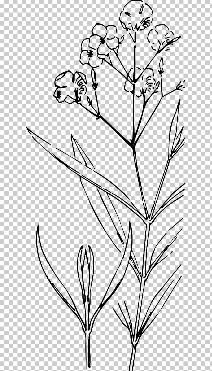 Plant Stem Drawing Flower Painting PNG, Clipart, Angle, Black And White, Bocciolo, Branch, Bud Free PNG Download