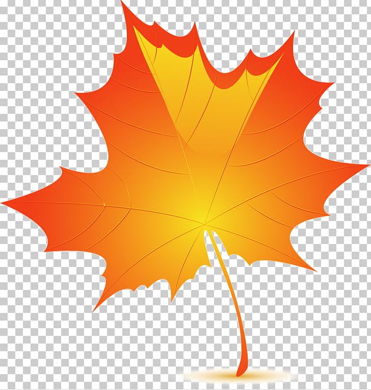 Autumn Leaf Color Birch PNG, Clipart, Adobe Illustrator, Autumn, Autumn Leaf, Autumn Leaf Color, Birch Free PNG Download