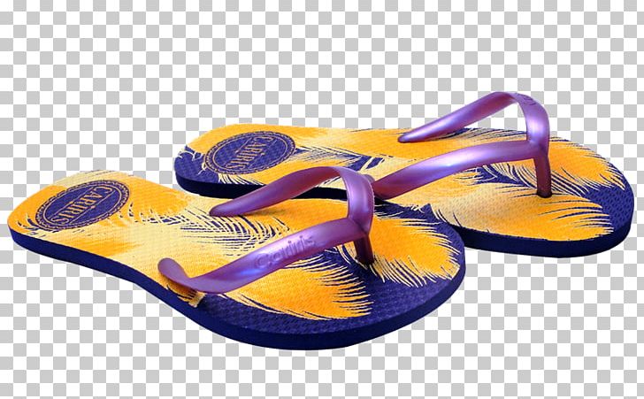 Flip-flops Slipper Shoe PNG, Clipart, Art, Flip Flops, Flipflops, Footwear, Outdoor Shoe Free PNG Download