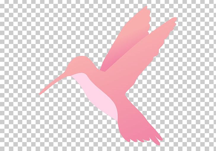 Hummingbird PNG, Clipart, Animal, Animals, Beak, Bird, Drawing Free PNG Download