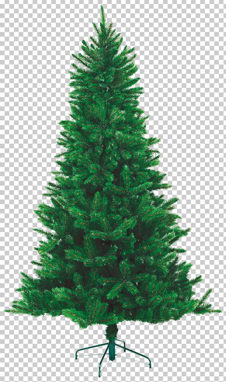 Needle Norway Spruce New Year Tree Green Pine PNG, Clipart, Artificial Christmas Tree, Artikel, Biome, Christmas Decoration, Christmas Ornament Free PNG Download