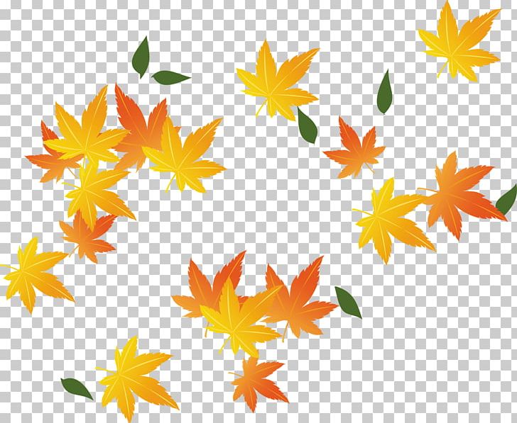 Red Maple Maple Leaf PNG, Clipart, Autumn, Autumn Leaf Color, Autumn Leaves, Encapsulated Postscript, Euclidean Vector Free PNG Download
